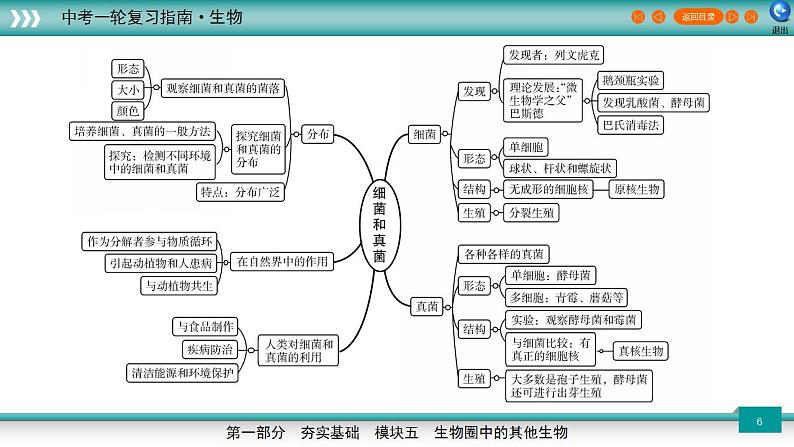 备战2023年中考生物一轮复习精讲  专题18 细菌、真菌和病毒-【复习指南】课件PPT06