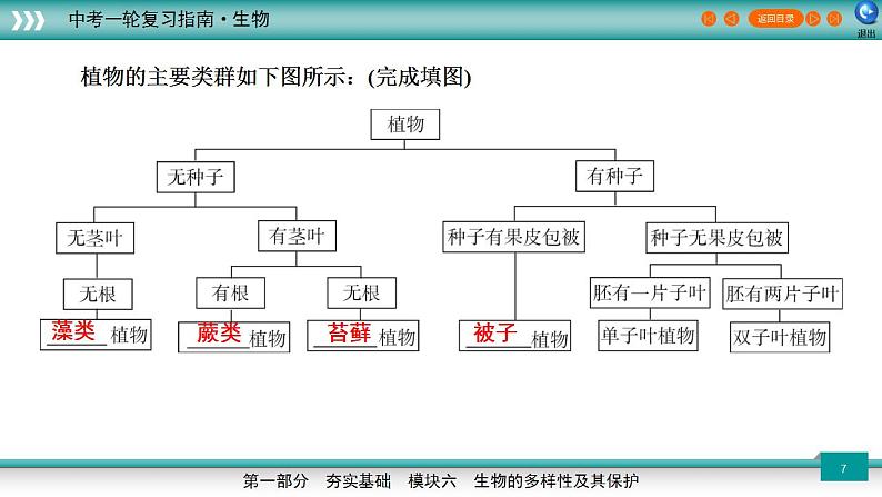 备战2023年中考生物一轮复习精讲  专题19 生物的多样性及其保护-【复习指南】课件PPT第7页