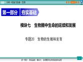 备战2023年中考生物一轮复习精讲  专题20 生物的生殖和发育-【复习指南】课件PPT