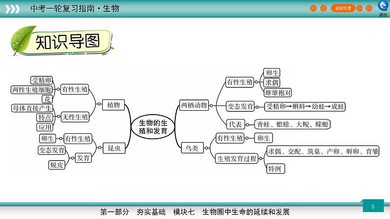 备战2023年中考生物一轮复习精讲  专题20 生物的生殖和发育-【复习指南】课件PPT第5页