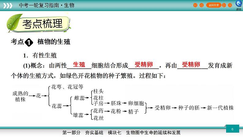 备战2023年中考生物一轮复习精讲  专题20 生物的生殖和发育-【复习指南】课件PPT第6页