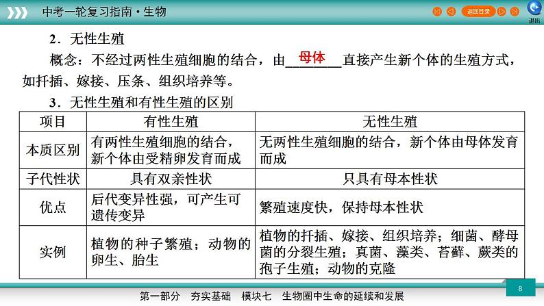 备战2023年中考生物一轮复习精讲  专题20 生物的生殖和发育-【复习指南】课件PPT第8页