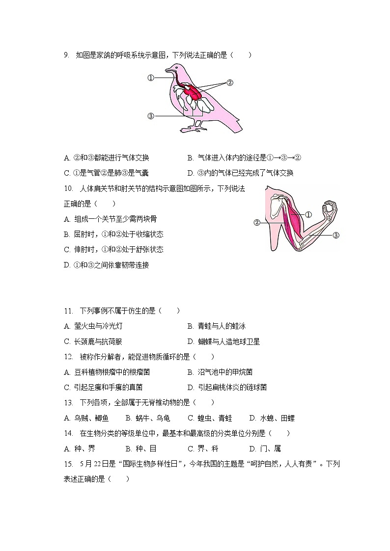 2022-2023学年河南省周口市商水县希望初级中学八年级（上）期末生物试卷（含解析）第2页