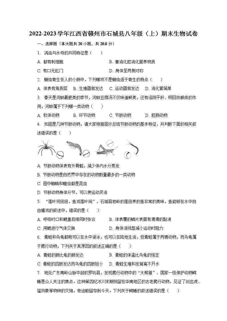 2022-2023学年江西省赣州市石城县八年级（上）期末生物试卷（含解析）01