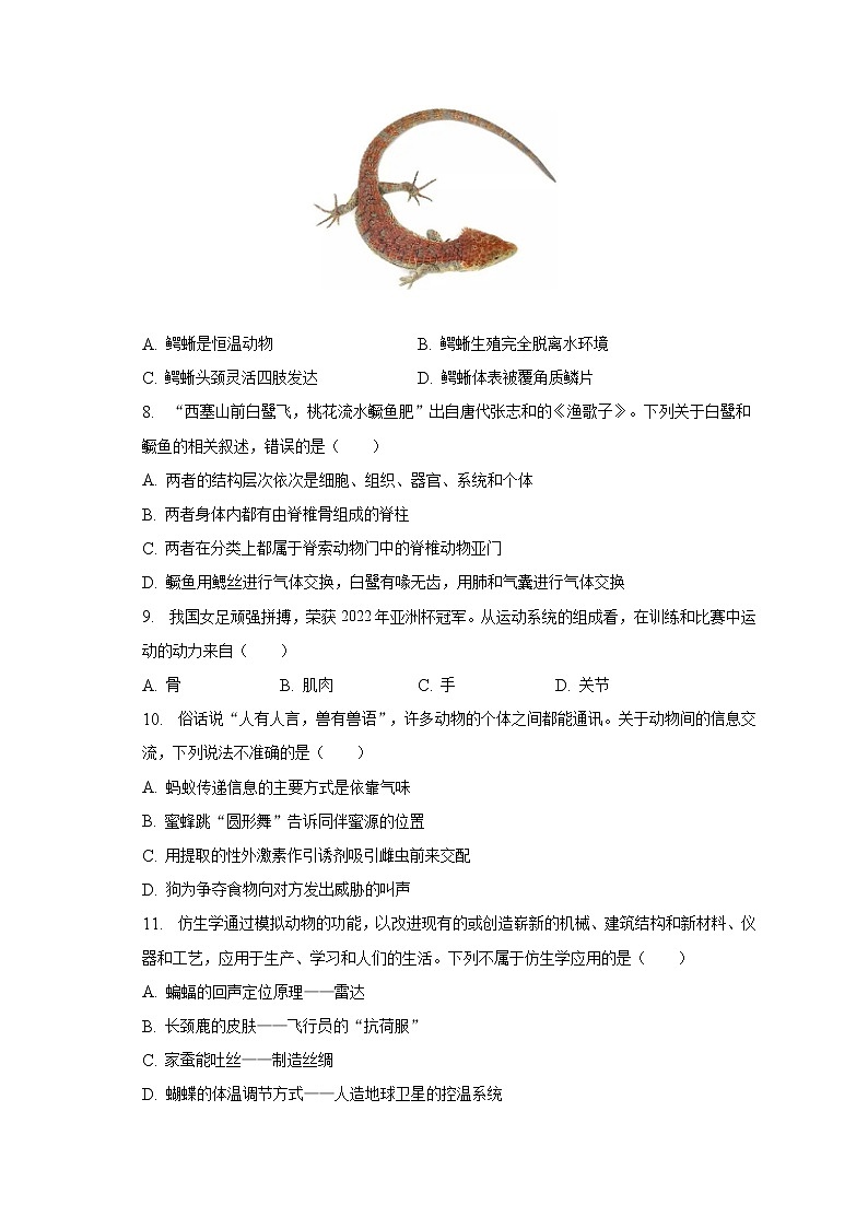 2022-2023学年江西省赣州市石城县八年级（上）期末生物试卷（含解析）02