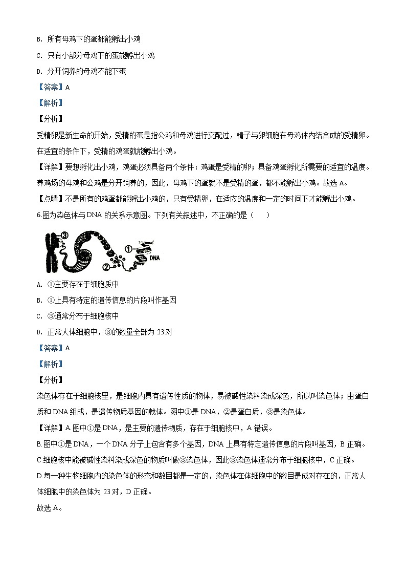 初中生物中考复习 精品解析：辽宁省铁岭市2020年中考生物试题（解析版）第3页