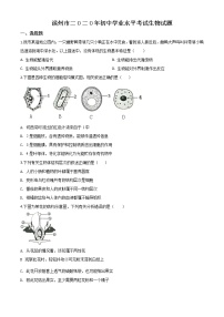 初中生物中考复习 精品解析：山东省滨州市2020年中考生物试题（原卷版）