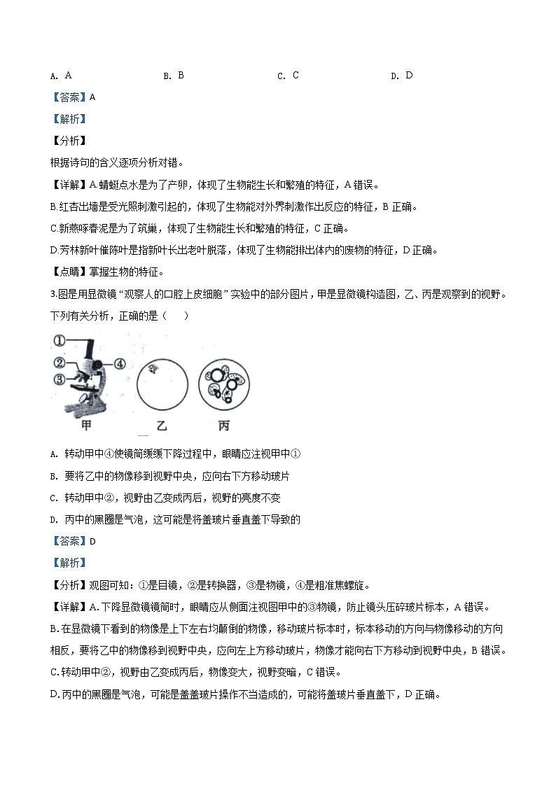 初中生物中考复习 精品解析：山东省东营市2020年中考生物试题（解析版）第2页
