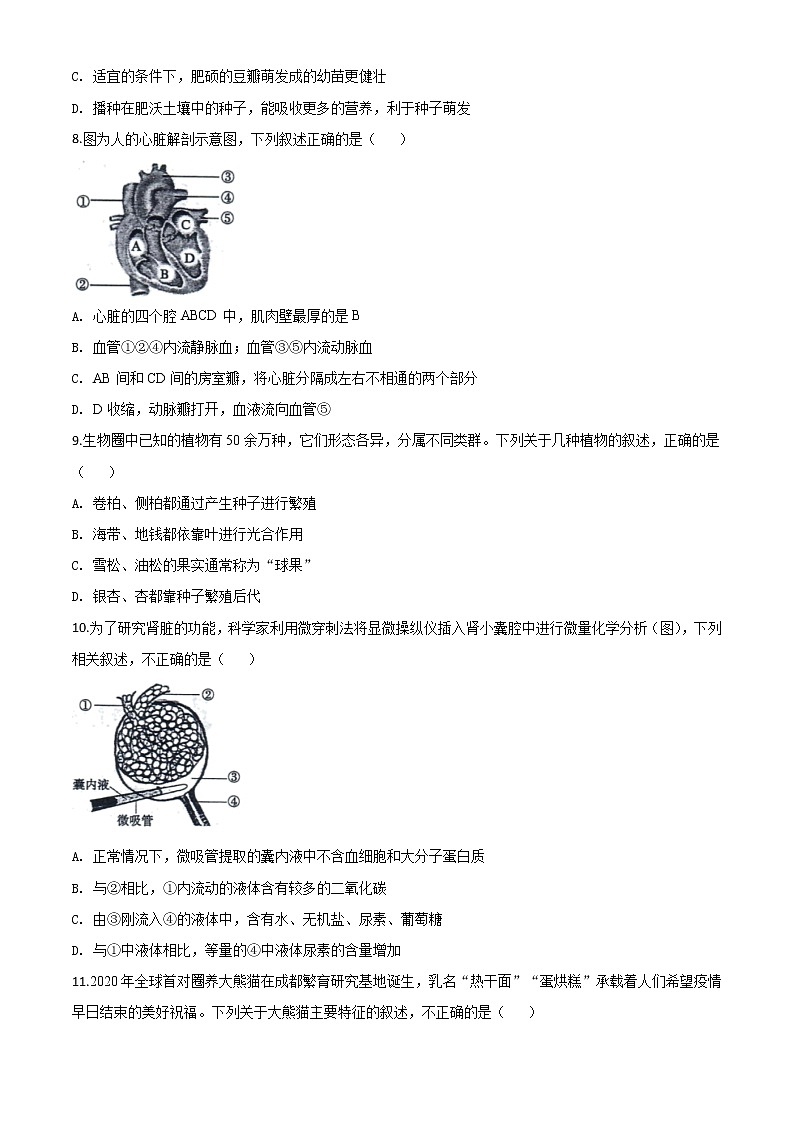初中生物中考复习 精品解析：山东省东营市2020年中考生物试题（原卷版）03