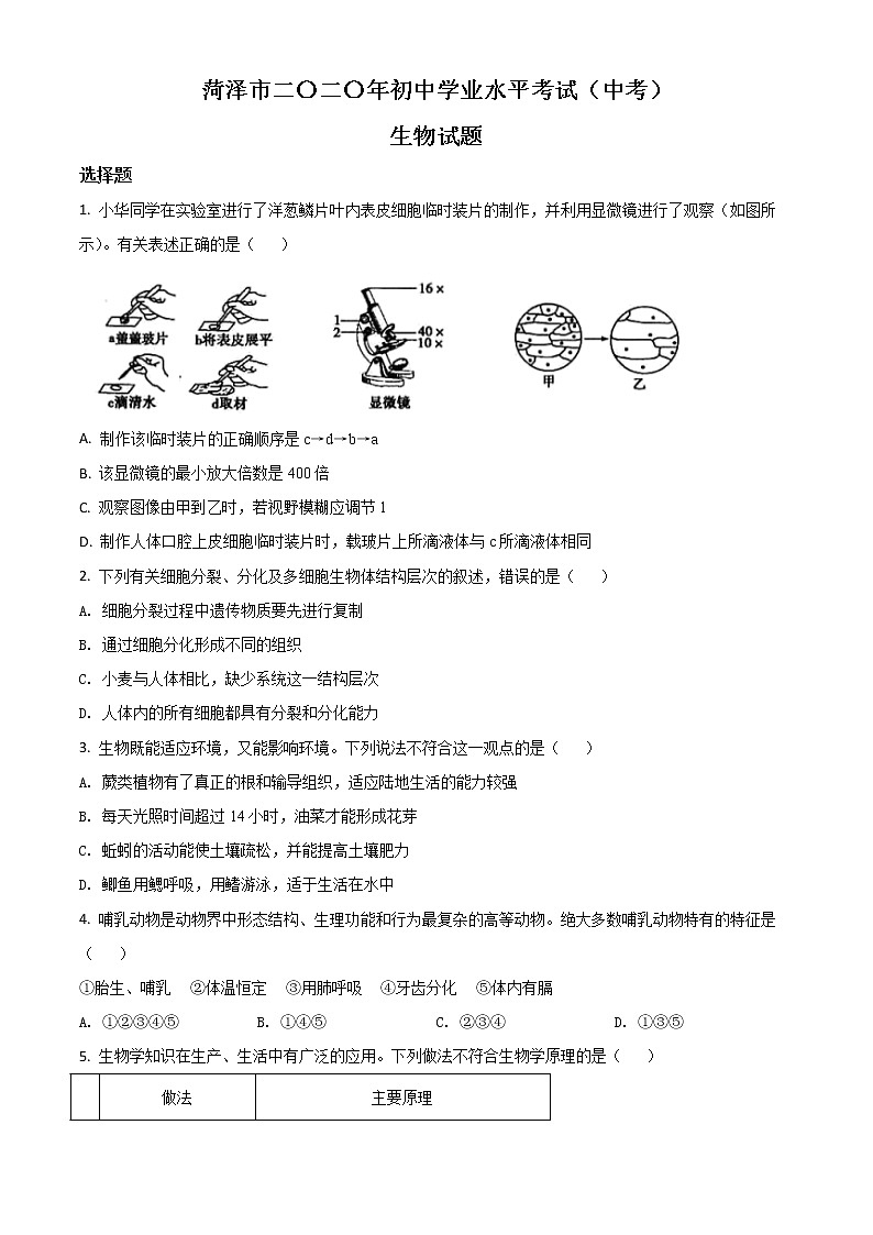 初中生物中考复习 精品解析：山东省菏泽市2020年中考生物试题（原卷版）01