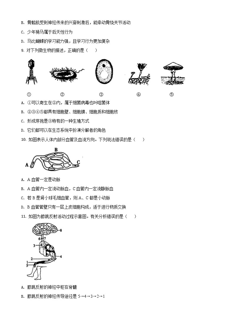 初中生物中考复习 精品解析：山东省菏泽市2020年中考生物试题（原卷版）03