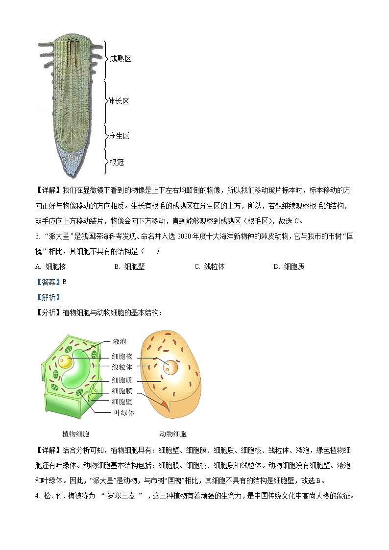 初中生物中考复习 精品解析：山东省济宁市2021年中考生物试题（解析版）02