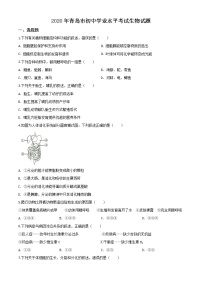 初中生物中考复习 精品解析：山东省青岛市2020年中考生物试题（原卷版）