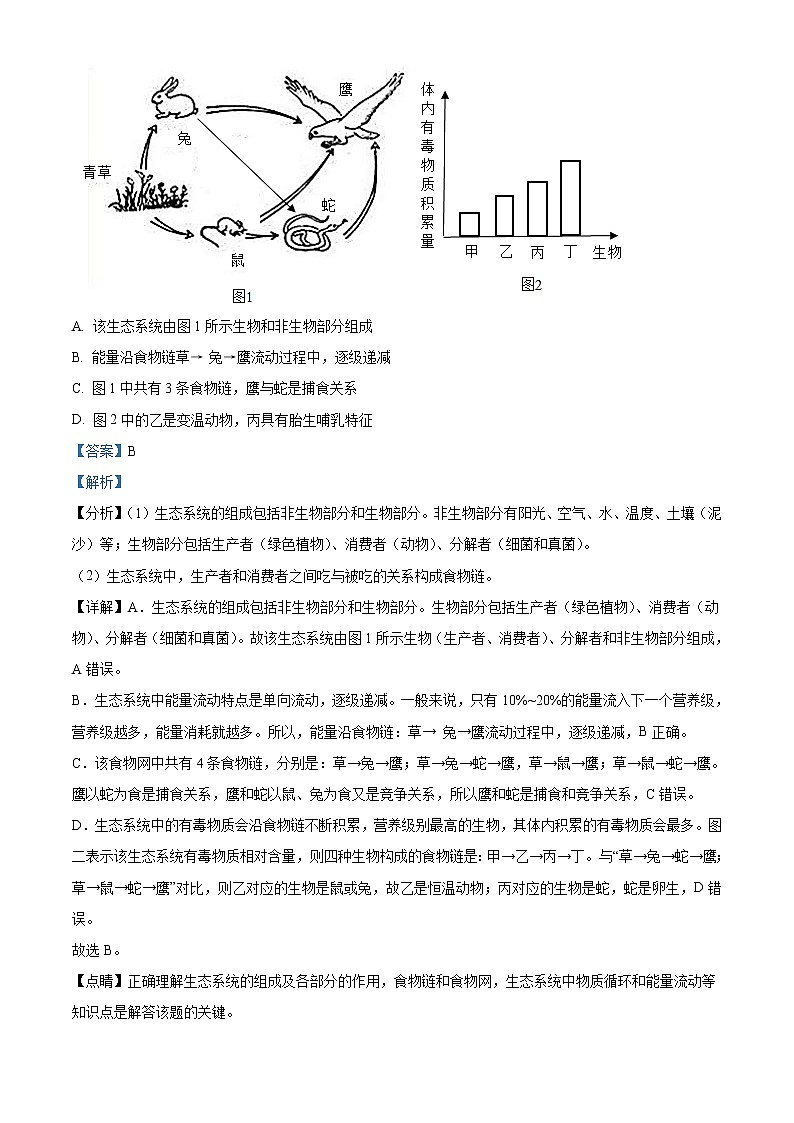 初中生物中考复习 精品解析：山东省泰安市2021年中考生物试题（解析版）03