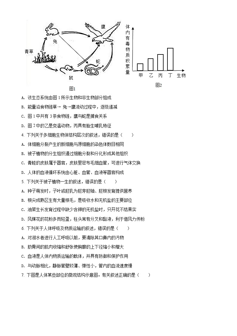 初中生物中考复习 精品解析：山东省泰安市2021年中考生物试题（原卷版）02