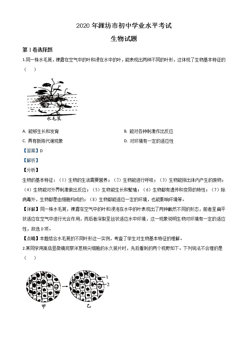 初中生物中考复习 精品解析：山东省潍坊市2020年中考生物试题（解析版）01