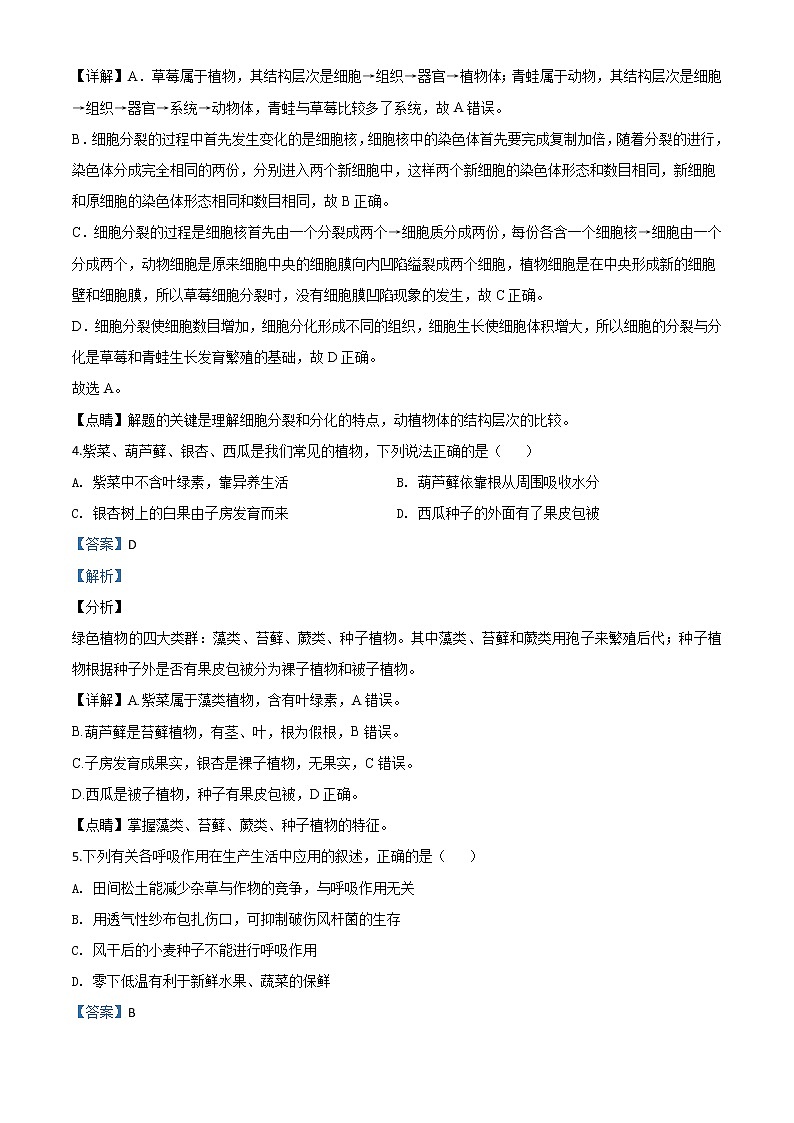 初中生物中考复习 精品解析：山东省潍坊市2020年中考生物试题（解析版）03