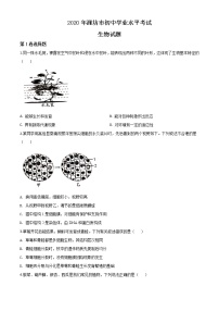 初中生物中考复习 精品解析：山东省潍坊市2020年中考生物试题（原卷版）