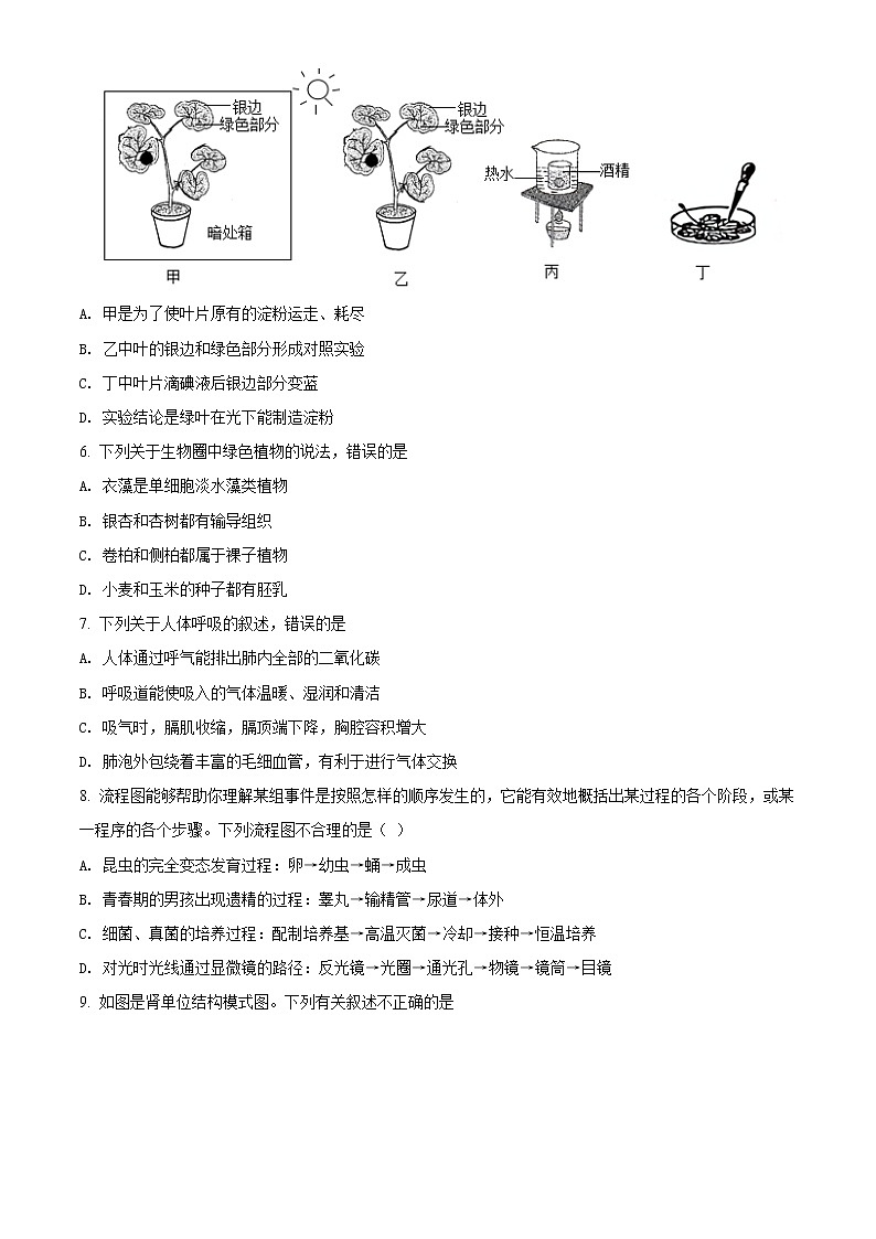 初中生物中考复习 精品解析：山东省淄博市2021年中考生物试题（原卷版）02