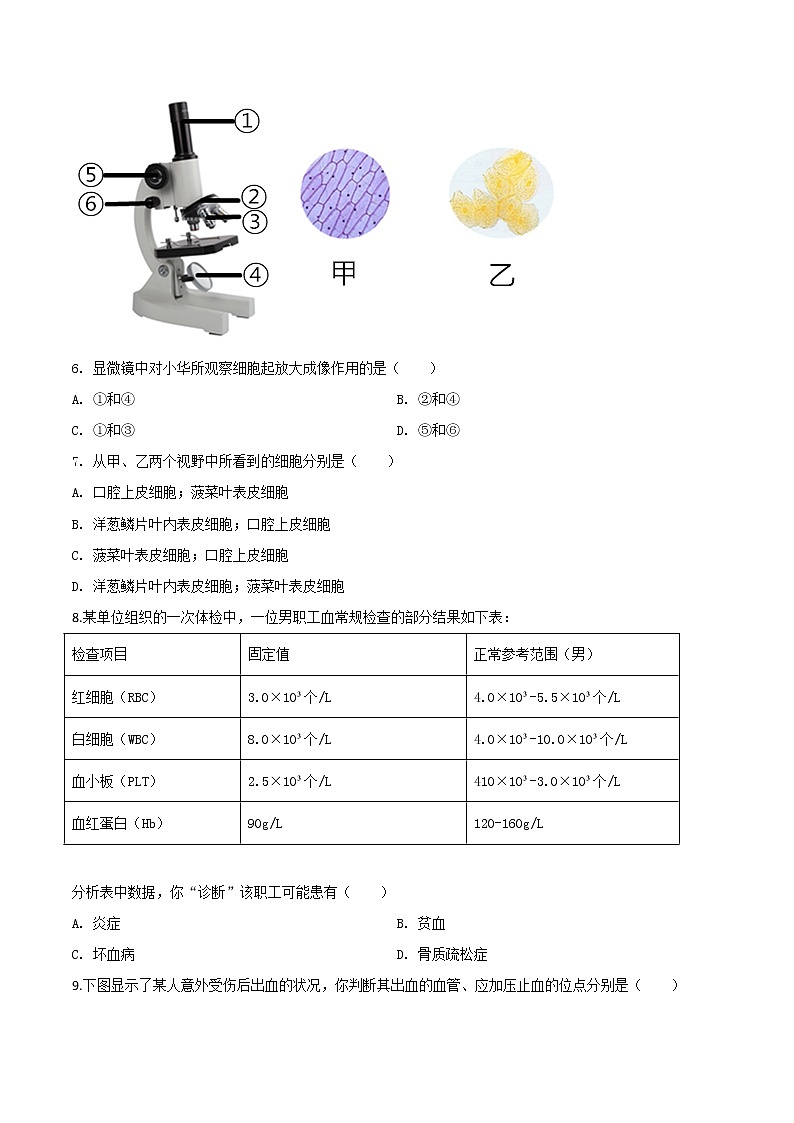 初中生物中考复习 精品解析：山西省阳泉市2020年中考生物试题（原卷版）02