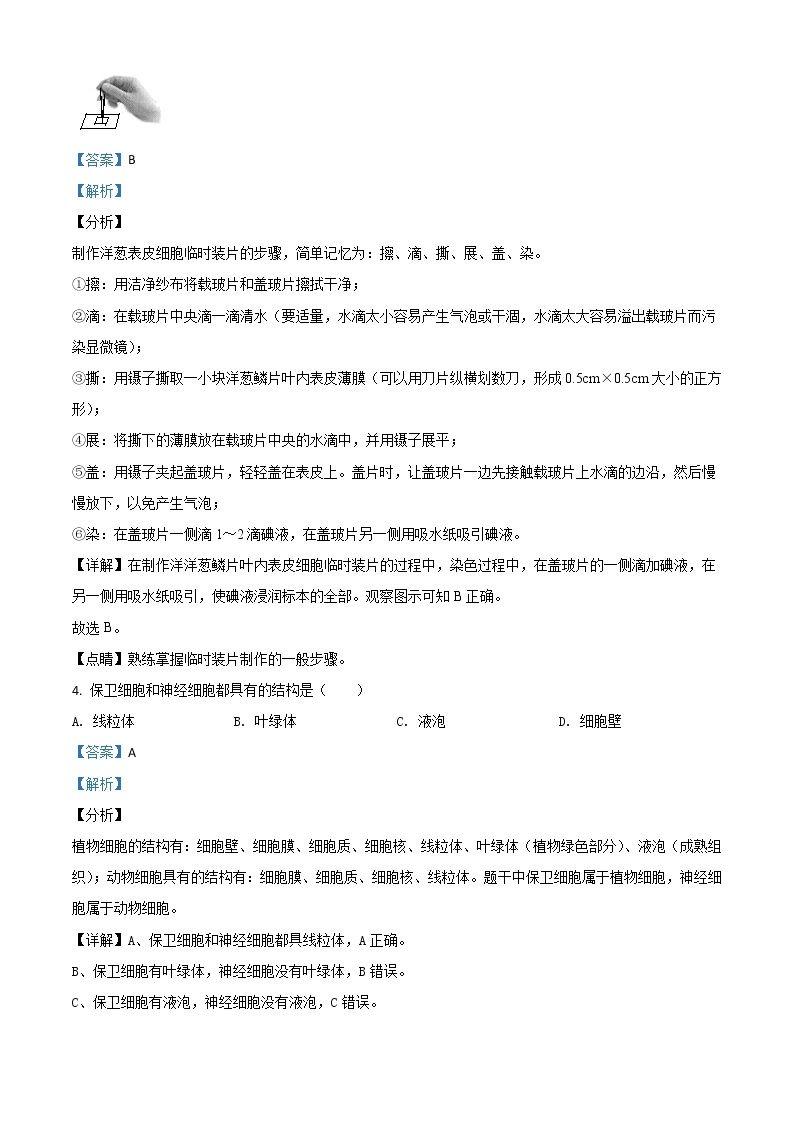 初中生物中考复习 精品解析：四川省广安市2020年中考生物试题（解析版）02