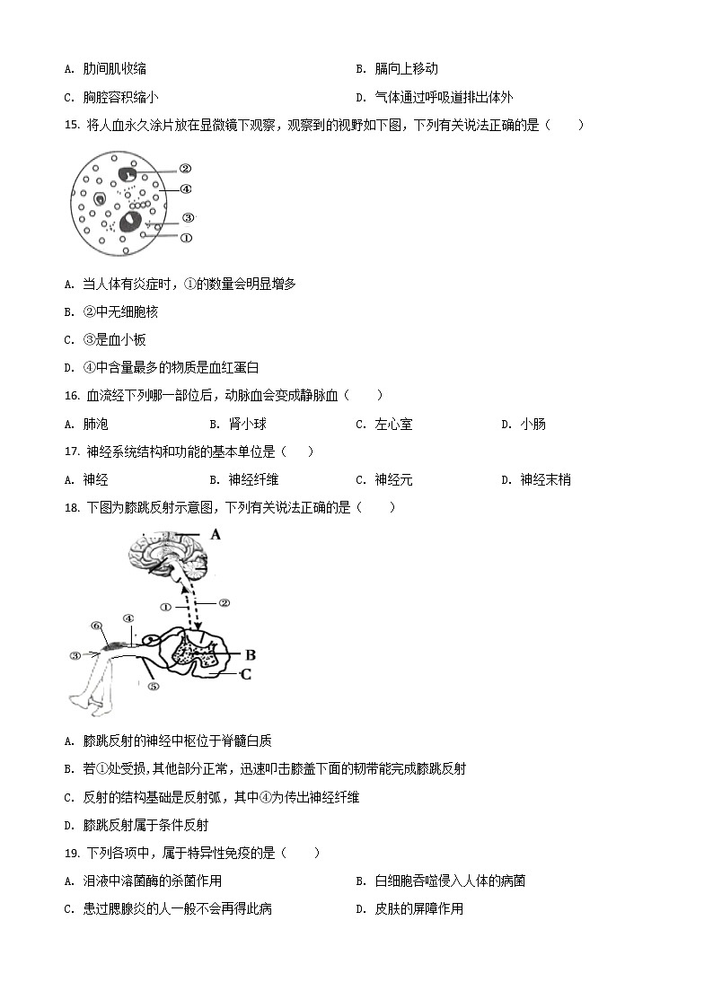 初中生物中考复习 精品解析：四川省广安市2020年中考生物试题（原卷版）03