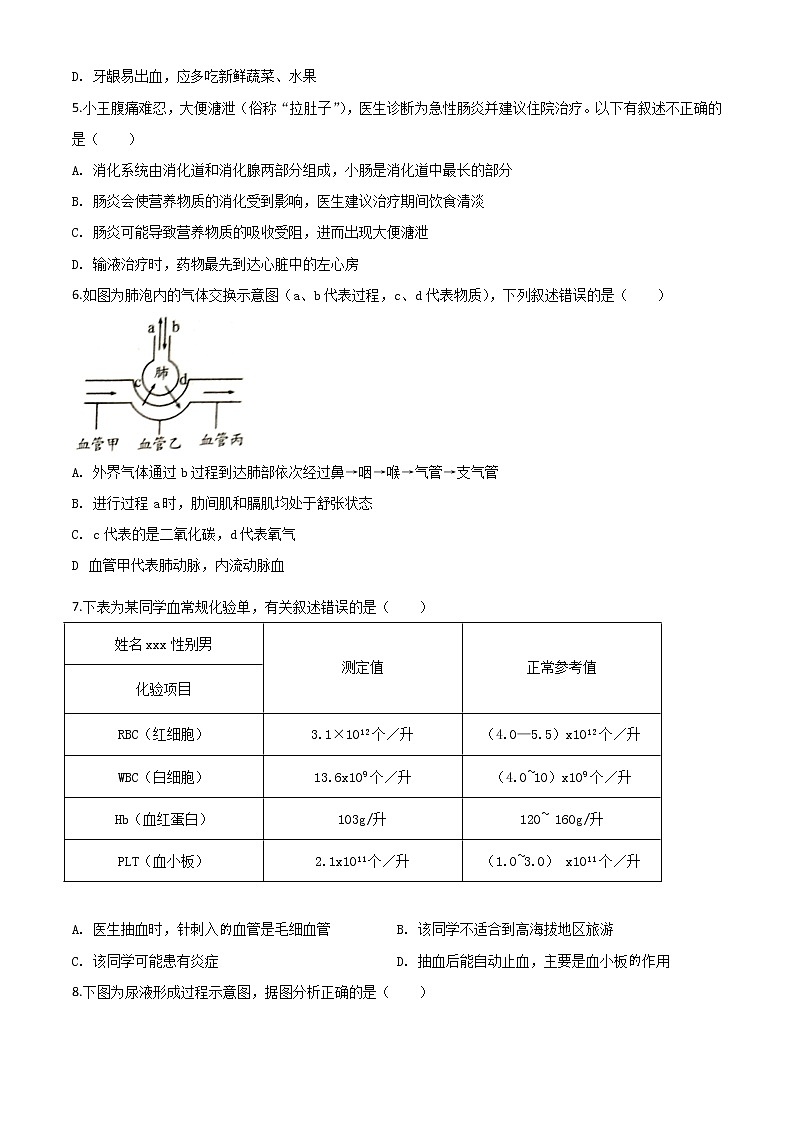 初中生物中考复习 精品解析：四川省南充市2020年中考生物试题（原卷版）第2页