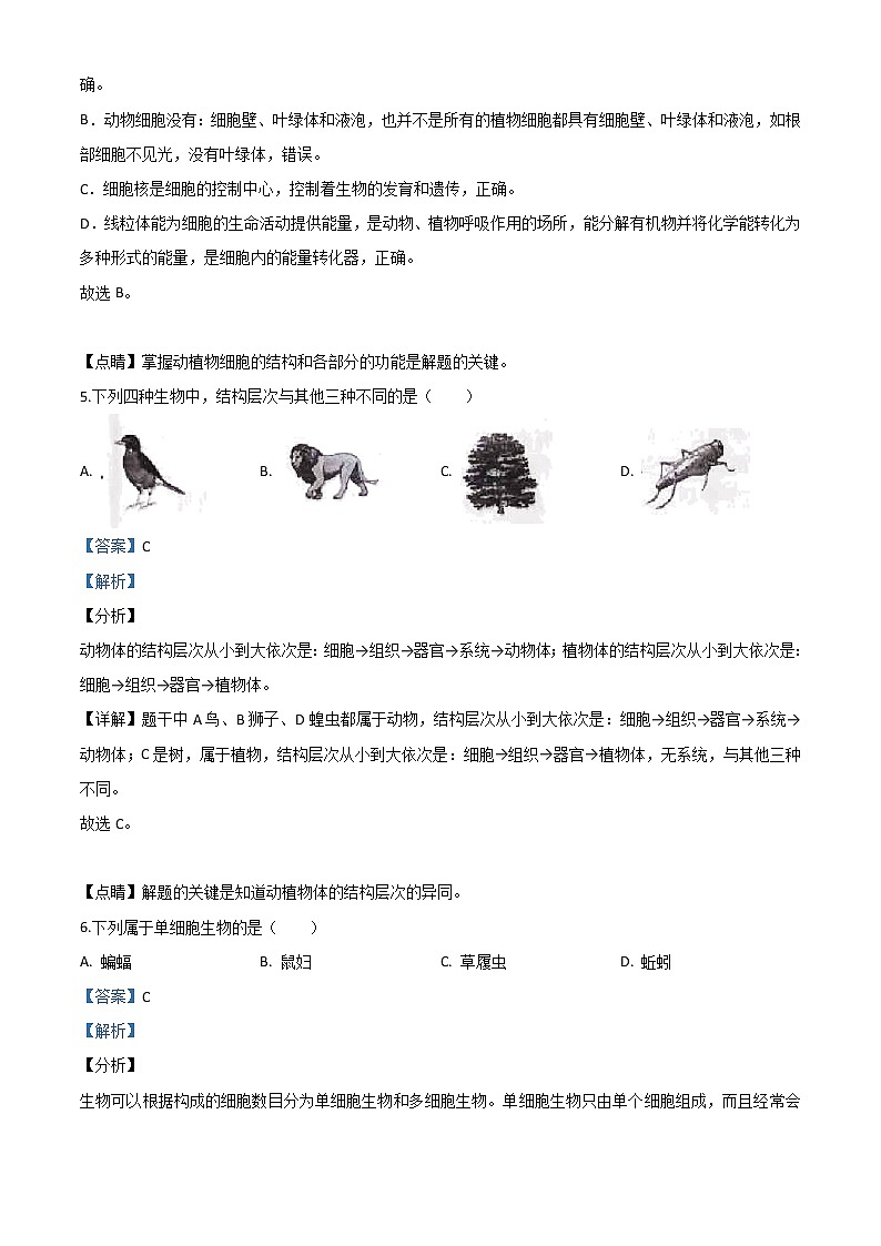 初中生物中考复习 精品解析：云南省2020年中考生物试题（解析版）03