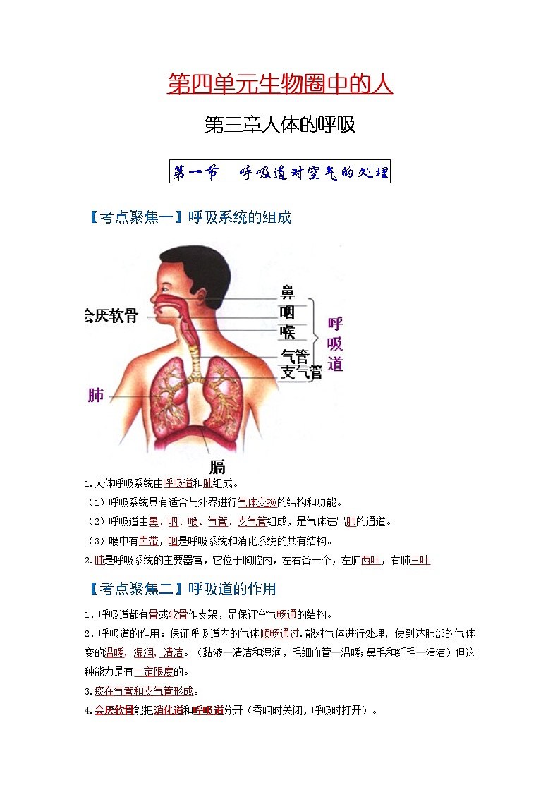 初中生物中考复习 考点03++人体的呼吸-【考点聚焦】2022年中考生物知识手册速查（人教版）第1页