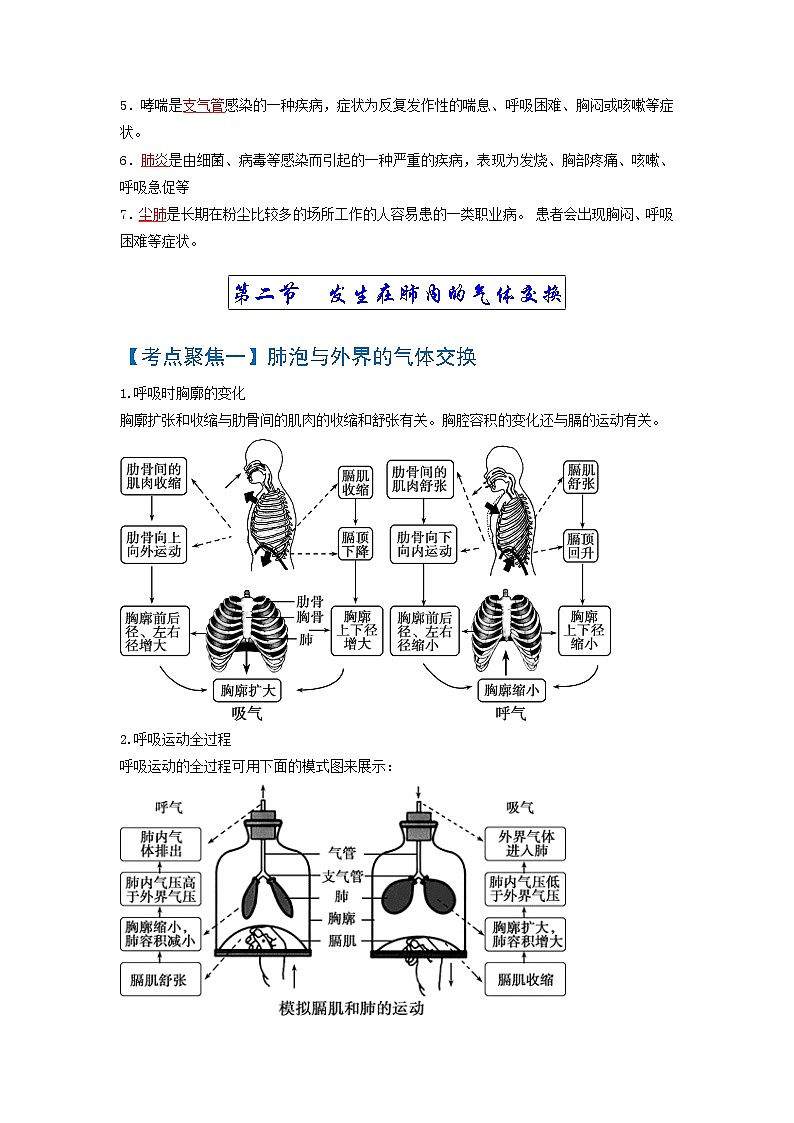 初中生物中考复习 考点03++人体的呼吸-【考点聚焦】2022年中考生物知识手册速查（人教版）第2页