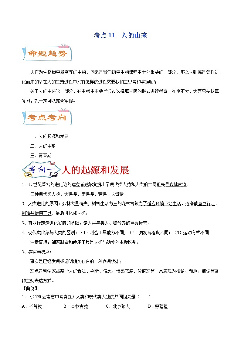 初中生物中考复习 考点11  人的由来（考点详解）-备战2021年中考生物考点微专题第1页
