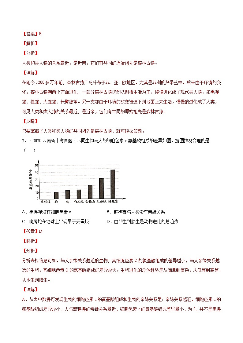 初中生物中考复习 考点11  人的由来（考点详解）-备战2021年中考生物考点微专题第2页