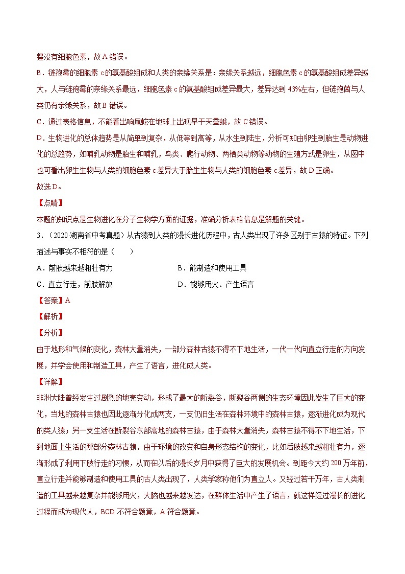 初中生物中考复习 考点11  人的由来（考点详解）-备战2021年中考生物考点微专题第3页