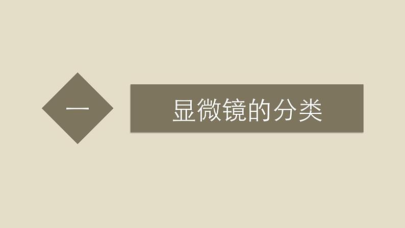 1.1 项目一 任务1 微生物形态观察及显微镜计数课件PPT第7页