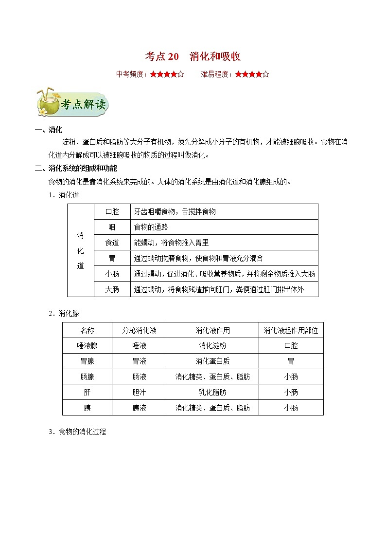 初中生物中考复习 考点20 消化和吸收-备战2021年中考生物考点一遍过 试卷01