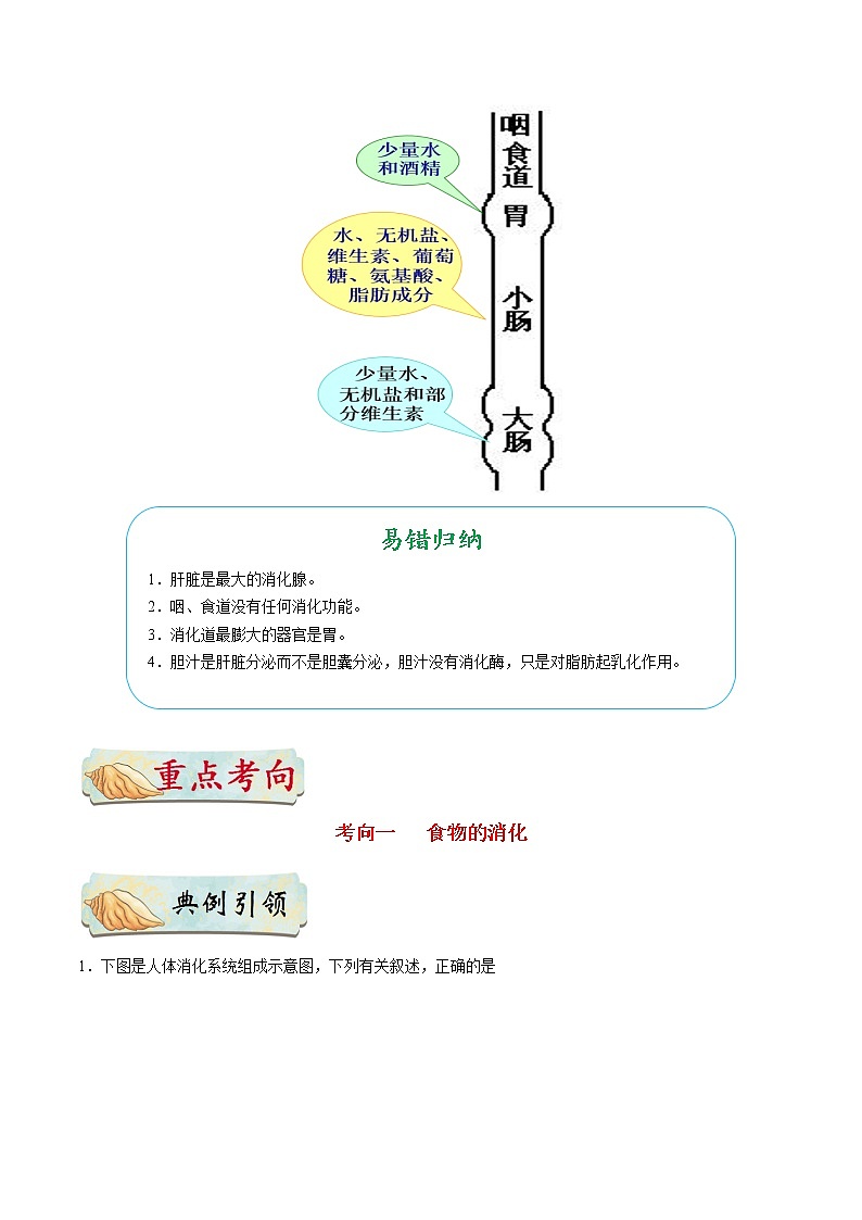 初中生物中考复习 考点20 消化和吸收-备战2021年中考生物考点一遍过 试卷03