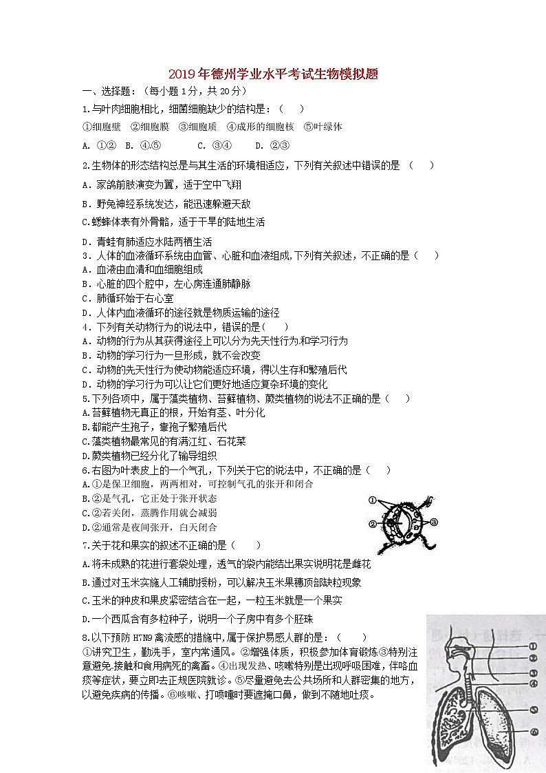初中生物中考复习 山东省德州市2019年初中生物学业水平考试模拟题01