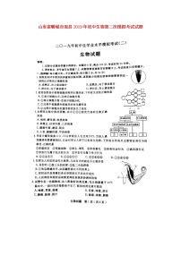 初中生物中考复习 山东省聊城市冠县2019年初中生物第二次模拟考试试题（扫描版）