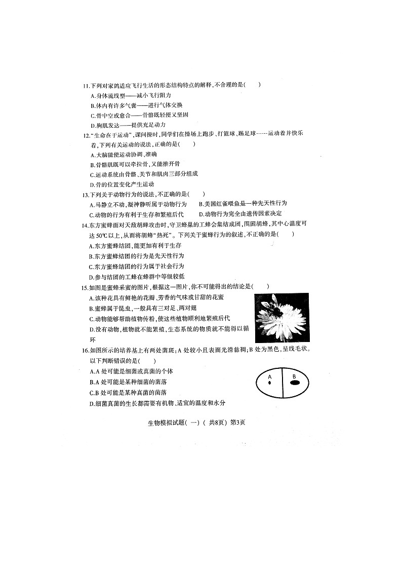 初中生物中考复习 山东省莘县2019年初中生物第一次模拟考试试题（扫描版）03