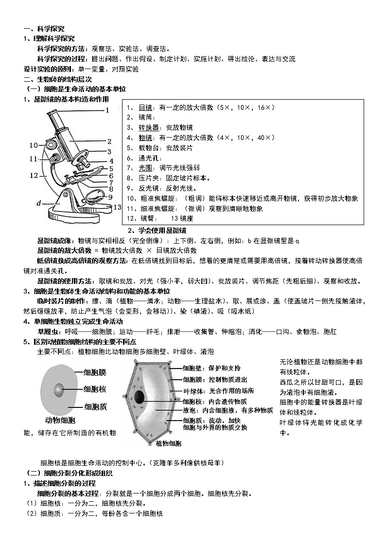 初中生物中考复习 生物全册中考知识点汇总第1页