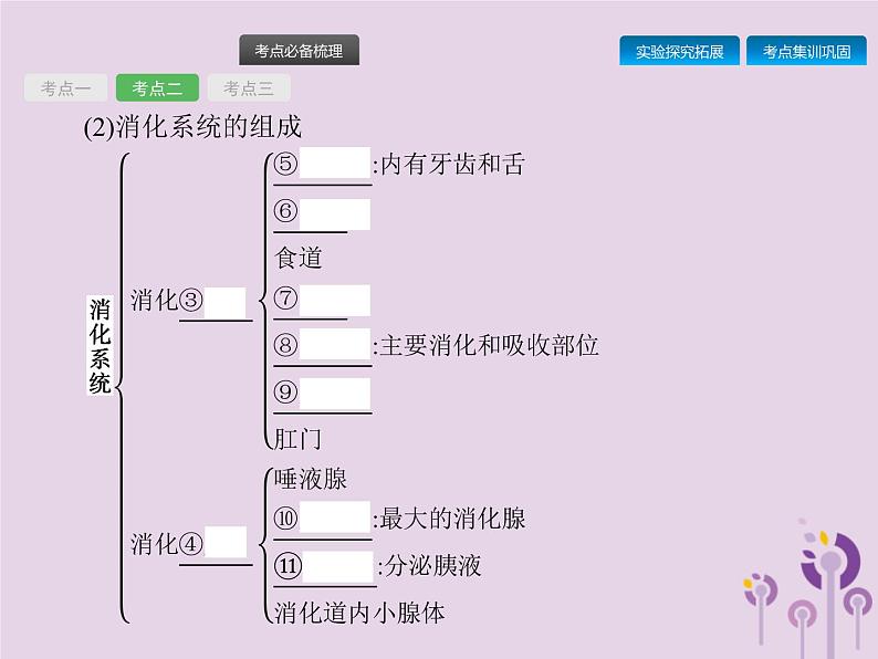 初中生物中考复习 课标通用中考生物总复习第四单元生物圈中的人第十讲人体的营养课件07