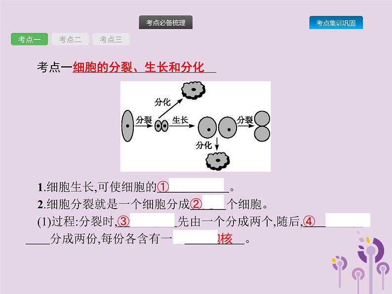 初中生物中考复习 课标通用中考生物总复习第二单元生物体的结构层次第四讲细胞怎样构成生物体课件第2页