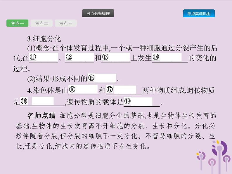 初中生物中考复习 课标通用中考生物总复习第二单元生物体的结构层次第四讲细胞怎样构成生物体课件第4页