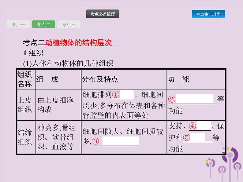 初中生物中考复习 课标通用中考生物总复习第二单元生物体的结构层次第四讲细胞怎样构成生物体课件第5页