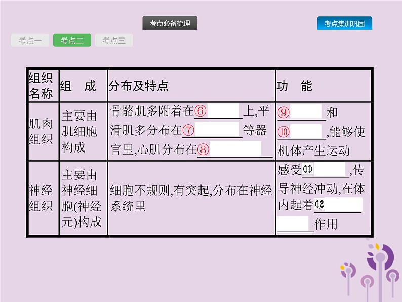 初中生物中考复习 课标通用中考生物总复习第二单元生物体的结构层次第四讲细胞怎样构成生物体课件第6页