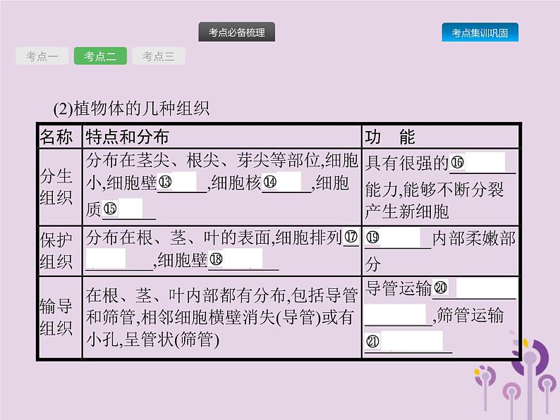 初中生物中考复习 课标通用中考生物总复习第二单元生物体的结构层次第四讲细胞怎样构成生物体课件第7页