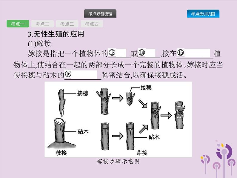 初中生物中考复习 课标通用中考生物总复习第七单元生物圈中生命的延续和发展第二十讲生物的生殖和发育课件第5页