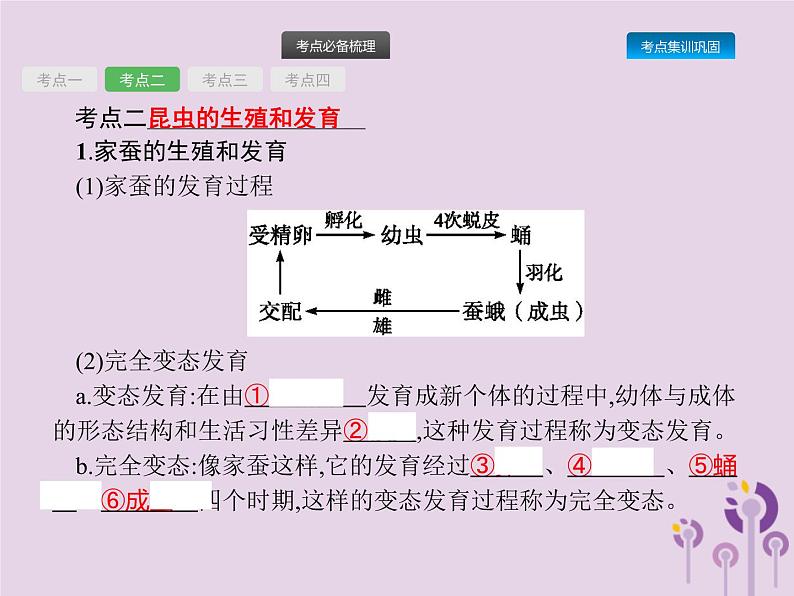 初中生物中考复习 课标通用中考生物总复习第七单元生物圈中生命的延续和发展第二十讲生物的生殖和发育课件第7页