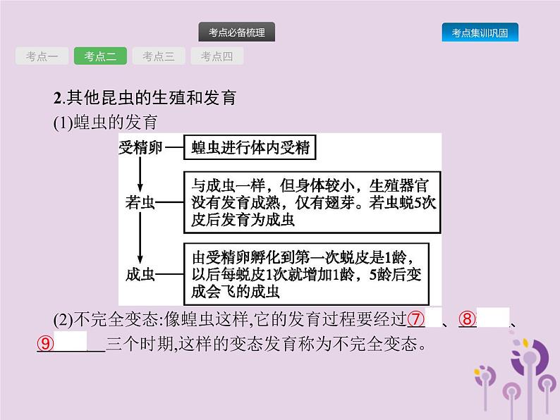 初中生物中考复习 课标通用中考生物总复习第七单元生物圈中生命的延续和发展第二十讲生物的生殖和发育课件第8页