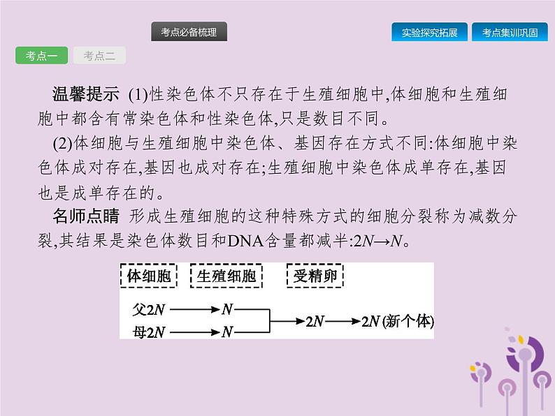 初中生物中考复习 课标通用中考生物总复习第七单元生物圈中生命的延续和发展第二十二讲生物的遗传和变异(二)课件03